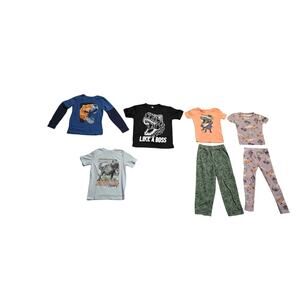 7pc Boy Dinosaur Bundle Size 7